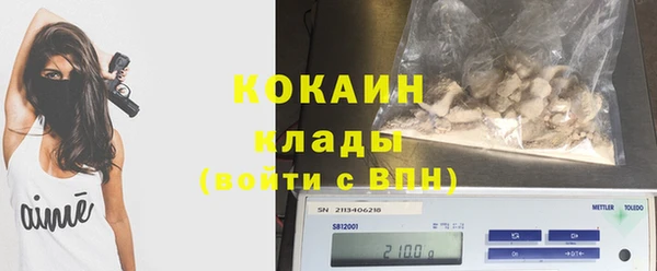 твердый Козловка