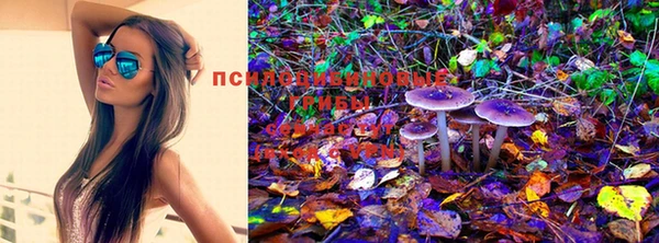 первитин Козельск