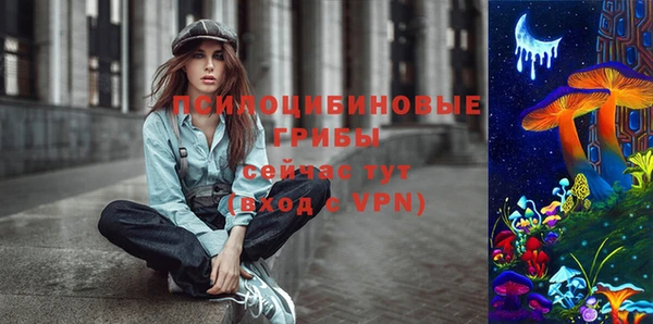 первитин Козельск